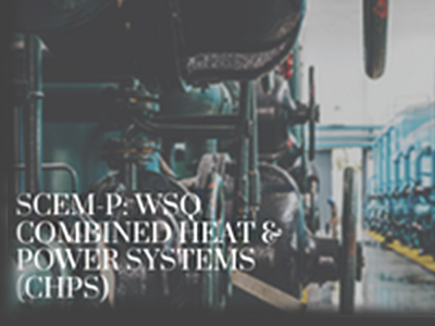SCEM-P: WSQ Combined Heat and Power Systems