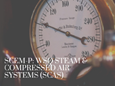 SCEM-P: WSQ Steam & Compressed Air Systems